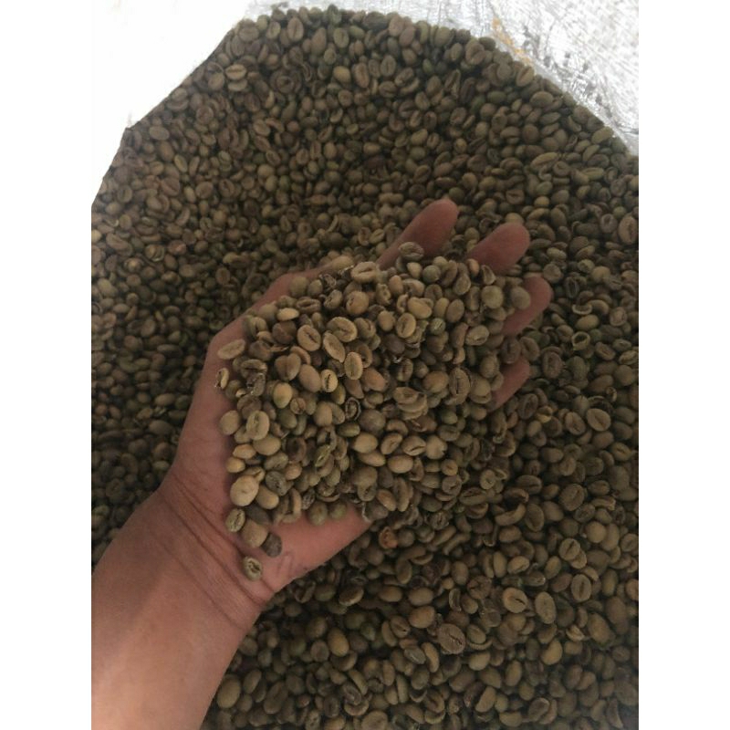 

KOPI ROBUSTA biji kopi robusta lereng arjuno