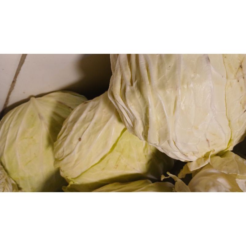 

kol/kubis 1 kg