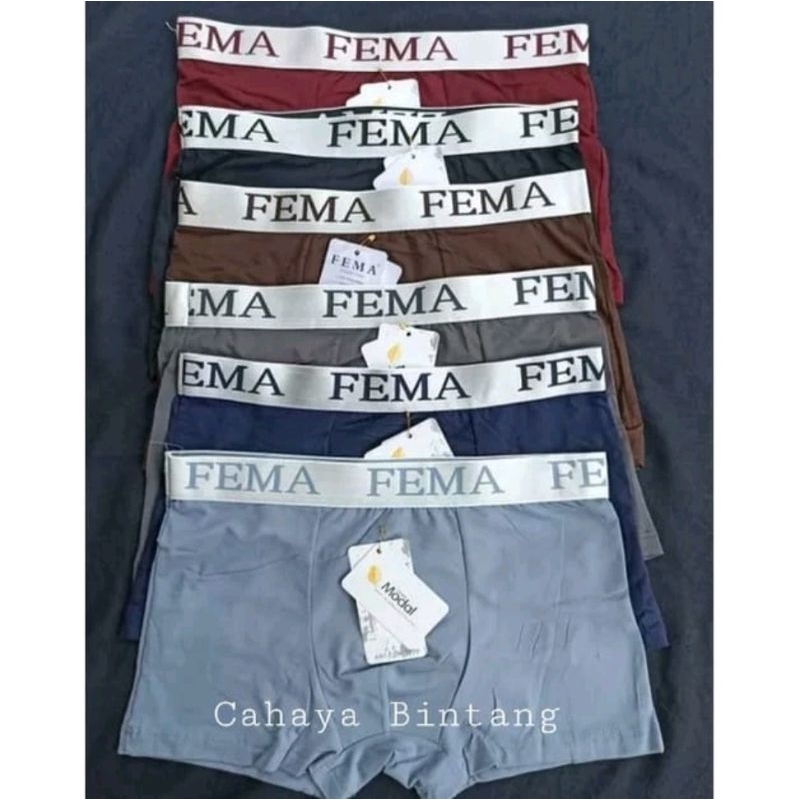 Celana Dalam Pria Boxer Segi Empat FEMA / Boxer Pria Dewasa FEMA