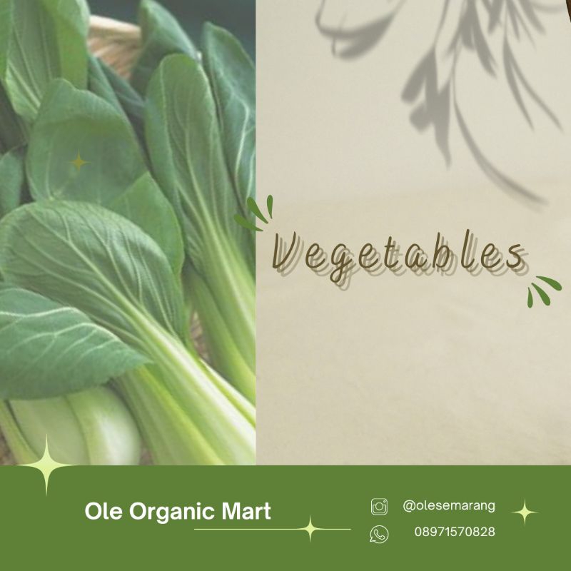 

Sayur Sawi 500g - Ole Organic Mart