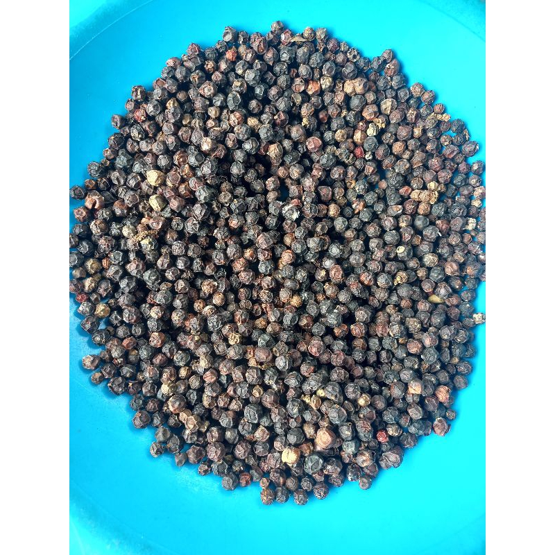 

Lada Hitam Butir 1.KG/Biji Lada Hitam 1.KG Black Pepper/Temurah di indonesia kualitas ekpor/Bersih/1KG