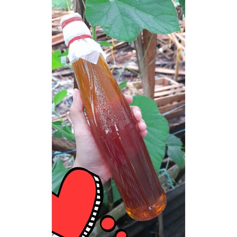 

MADU KELULUT ASLI TEMBELING BINTAN