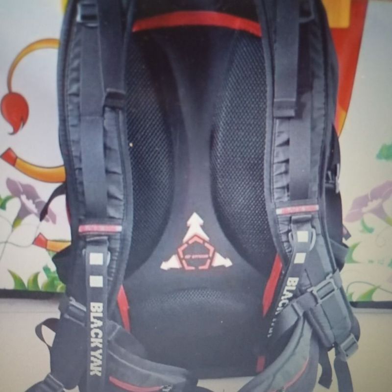 Tas Ransel Blackyak 35L