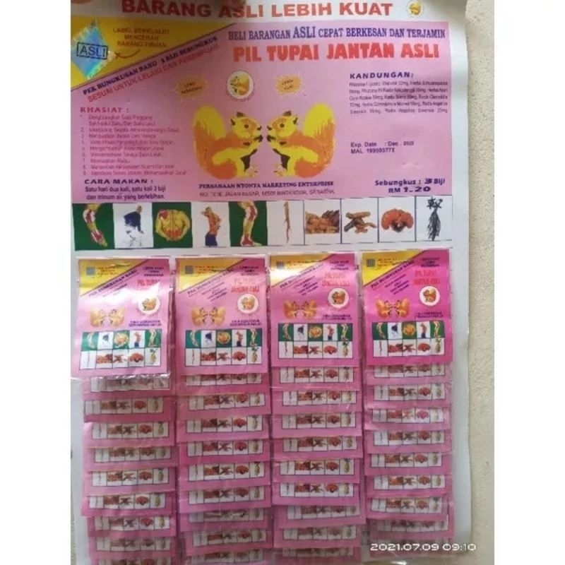 pil tupai jantan original