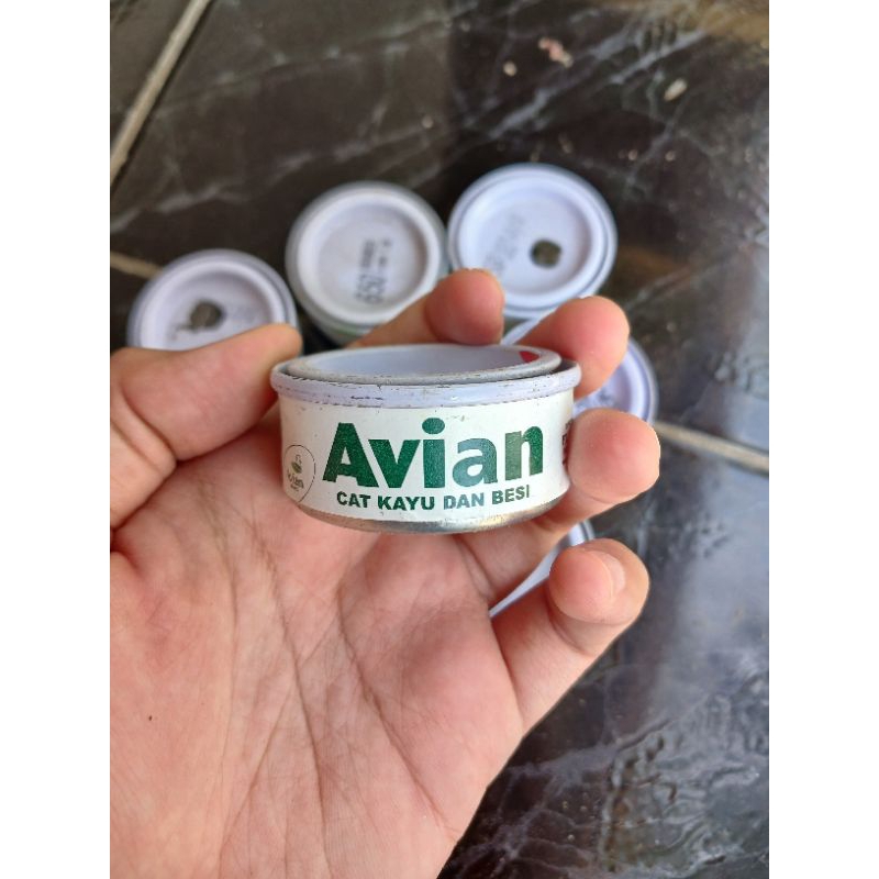 cat kayu dan besi avian 25 cc