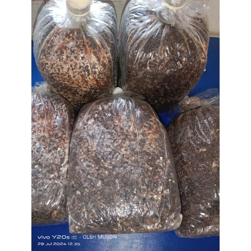 PROMO BIBIT JAMUR MERANG UNGGULAN JENIS PUTIH 1 LOG JUMBO