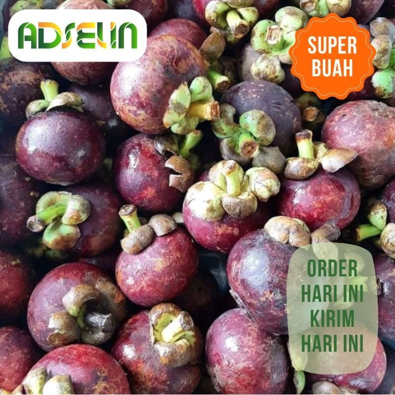 

Manggis Segar 1 kg Super Buah