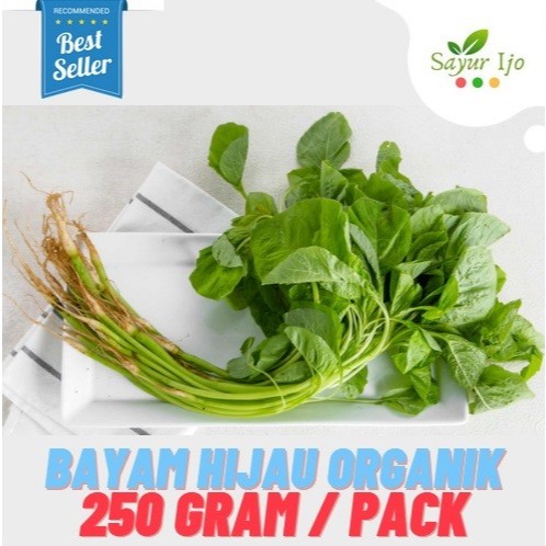 

Bayam Hijau Organik 250 Gram / Pack Fresh Green Spinach Sayur Hijau Daun Segar