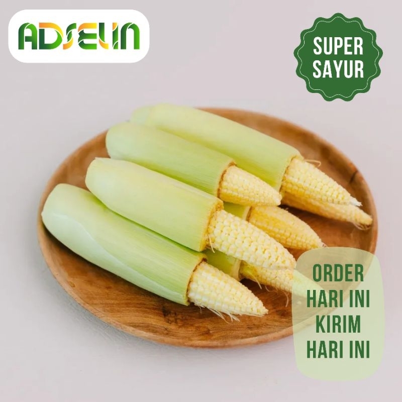 

Jagung Kecil Muda Baby Corn Super Sayur PENGIRIMAN INSTAN