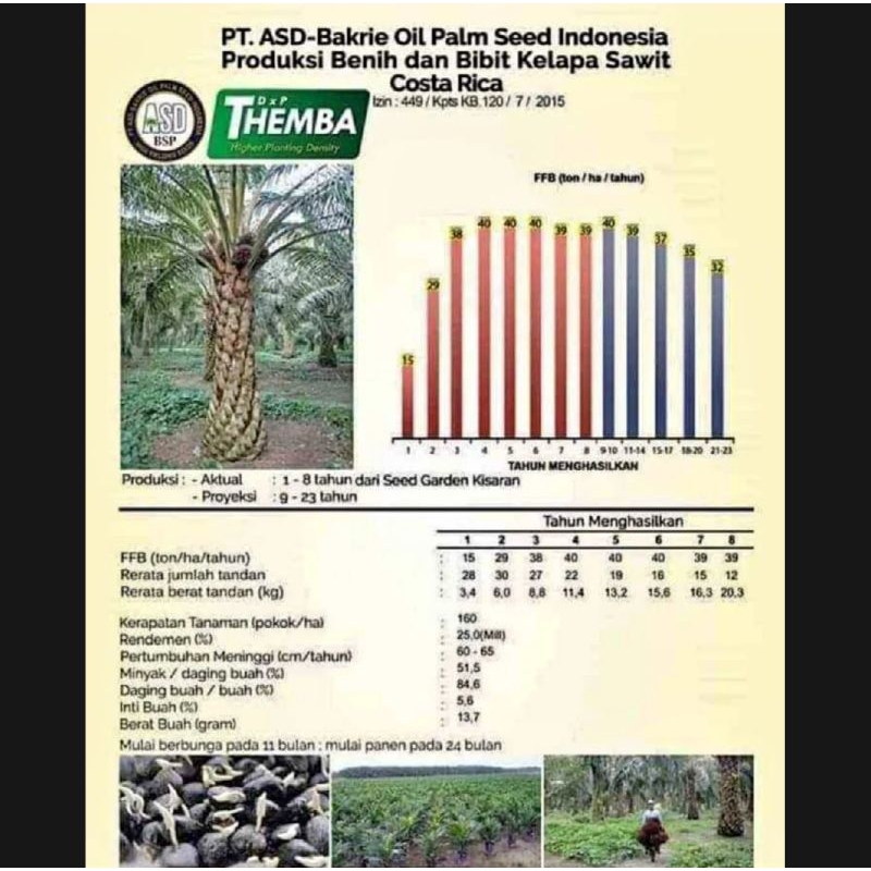 Benih Sawit Unggul COSTARIKA / KOSTARIKA asli SERTIFIKAT