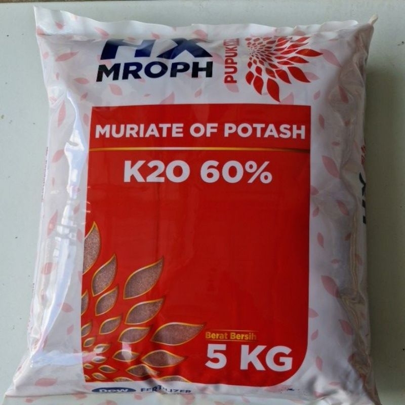 Pupuk KCL HX Mroph K20 60% - 5 KG