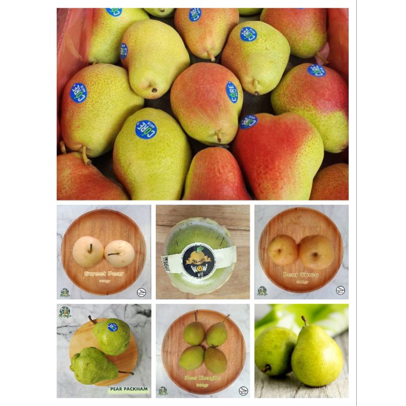 

Pir Madu Sweet Pear Manis | Pear Sinco Singo | Pear Xianglie Xiangly | Pir Hijau Pear Packham | Pear Forelle | Pear Anjou | Pear Cui Yu 1kg