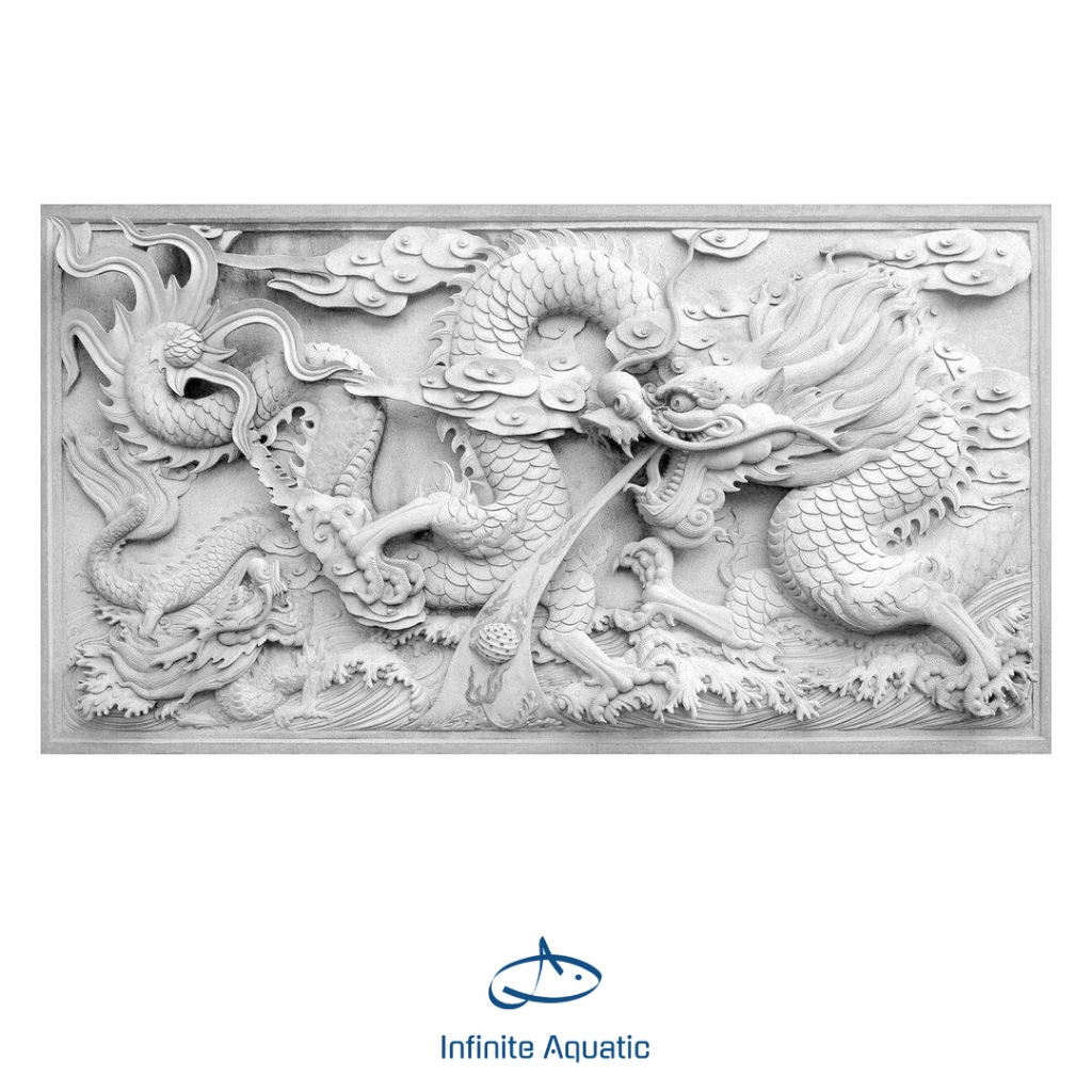 Stiker Aquarium Motif Naga Putih Background Aquarium Premium