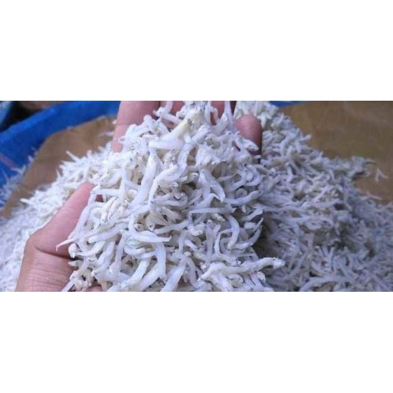 

Ikan Teri Touge Medan fresh 100 gr