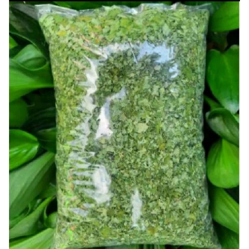 

daun kelor kering