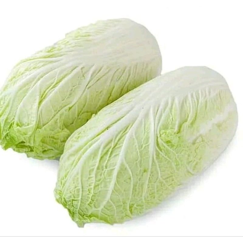 

Sawi Putih Sayuran Segar Bandung / sayur seger