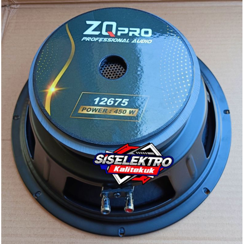 Speaker 12 Inch ZQ PRO 12675