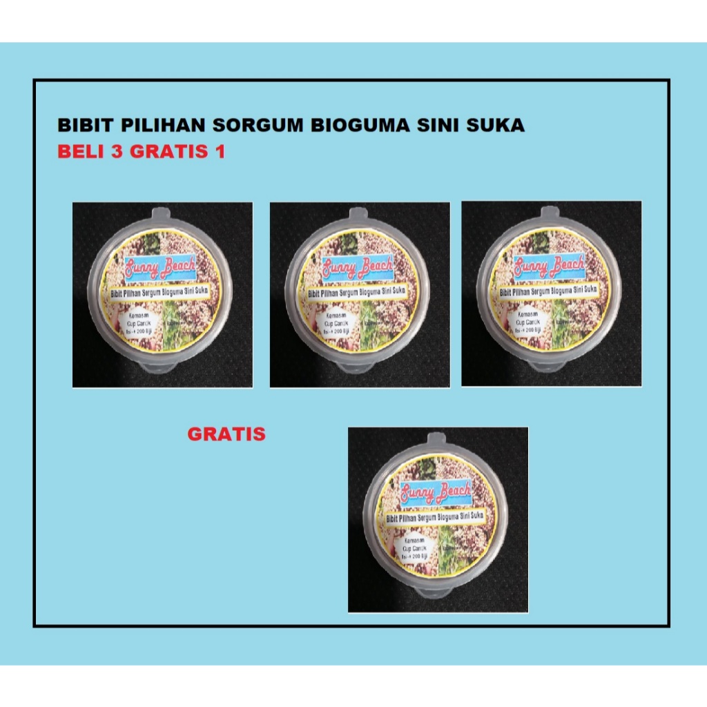 Bibit Pilihan Sorgum Bioguma Sini Suka Kemasan Cup Beli 3 Gratis 1 | Biji Benih Sorgum Bioguma Sini 