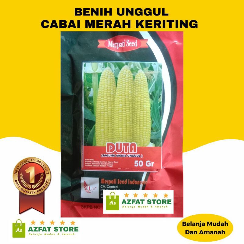 

Benih Jagung Manis Super