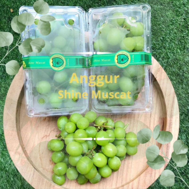 

Anggur Hijau Shine Muscat