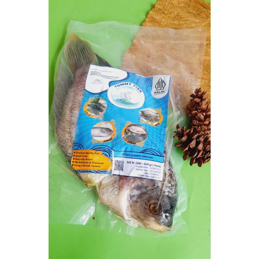 

IKAN GURAME / IKAN GURAME - Original, 400 - 500 gr
