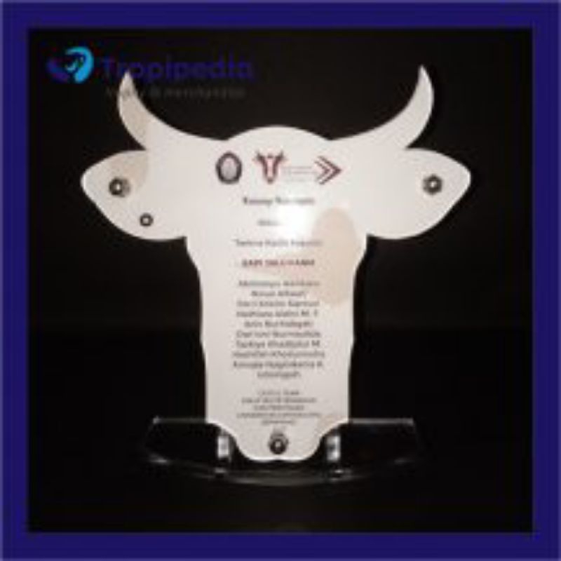 Plakat Akrilik Custom Model Kepala Sapi