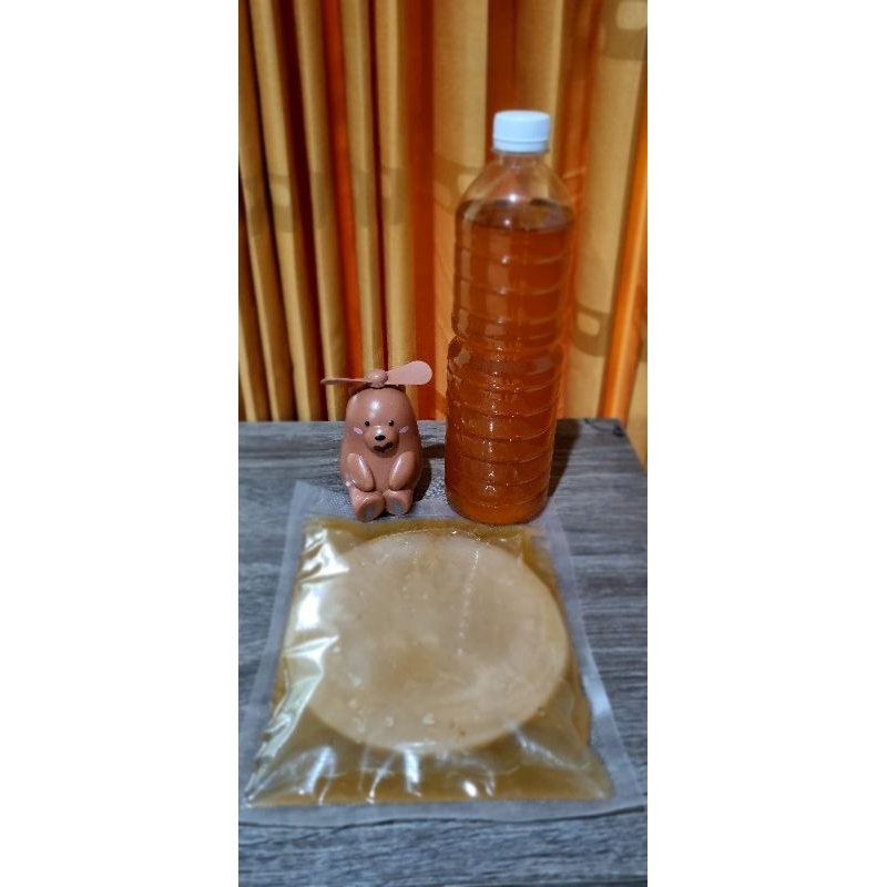 

Kombucha bibit SCOBY premium diameter +- 15 cm tebal