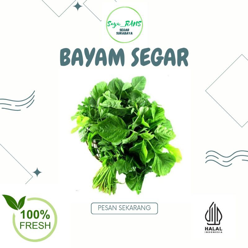 

BAYAM FRESH 1 IKAT Surabaya