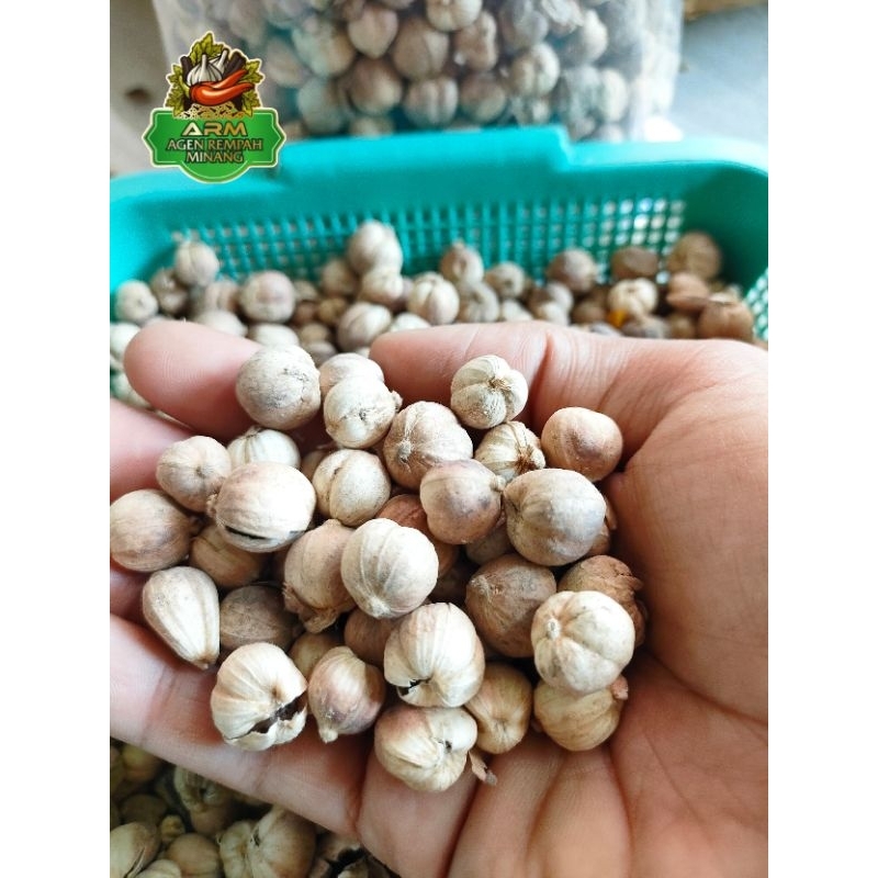 

Kapulaga Putih 1kg Premium