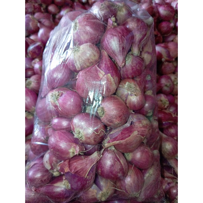 

bawang merah 1kg