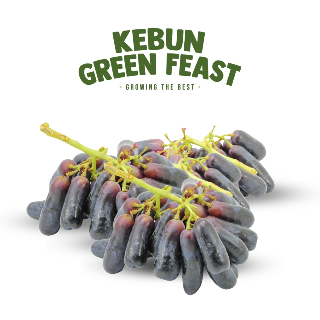 

Anggur Hitam Sapphire - Buah Import - Fresh Fruit