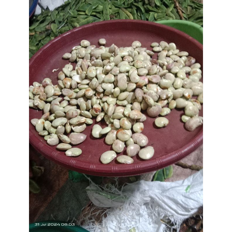 

Kacang koro basah 250 g