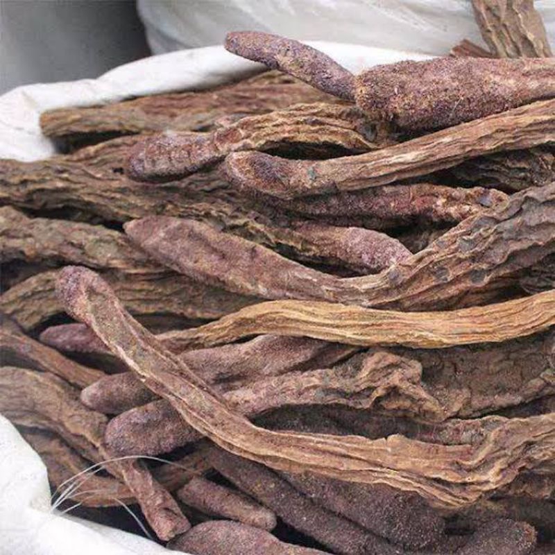 

300 G GR GRAM 锁阳条 SUO YANG TIAO CYNOMORIUM HERB HERBA CYNOMORII