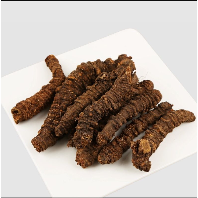 

600 G GR GRAM 羌活条 QIANG HUO TIAO 姜活条 JIANG HUO TIAO NOTOPTERYGIUM ROOT
