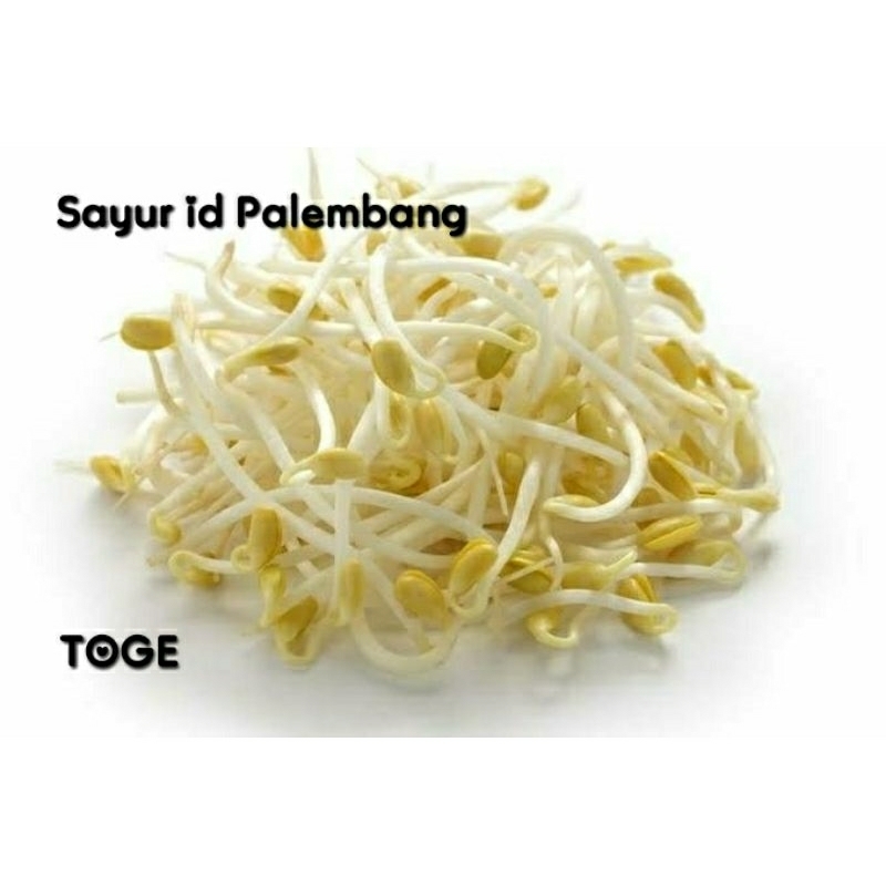 

[ DIKIRIM INSTAN ] Kecambah/Toge - Sayur id Palembang