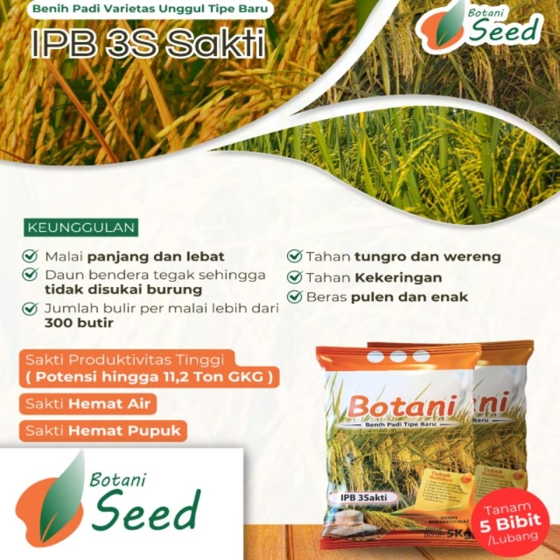 Benih padi bersertifikat BOTANI IPB 3S SAKTI