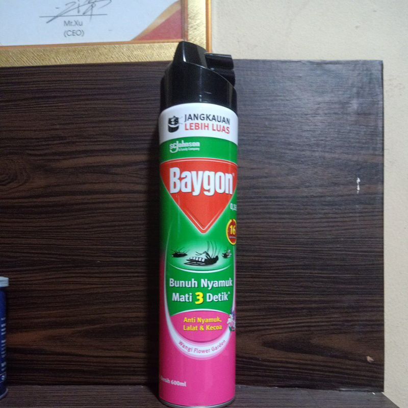 Baygon anti nyamuk dan kecoa/Baygon 600ml