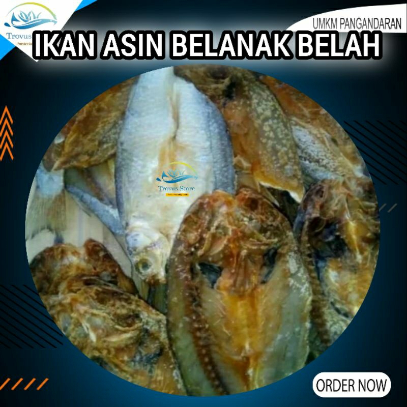 

Ikan Asin Belanak Belah 1 kg Khas Pangandaran Bersih Higienis