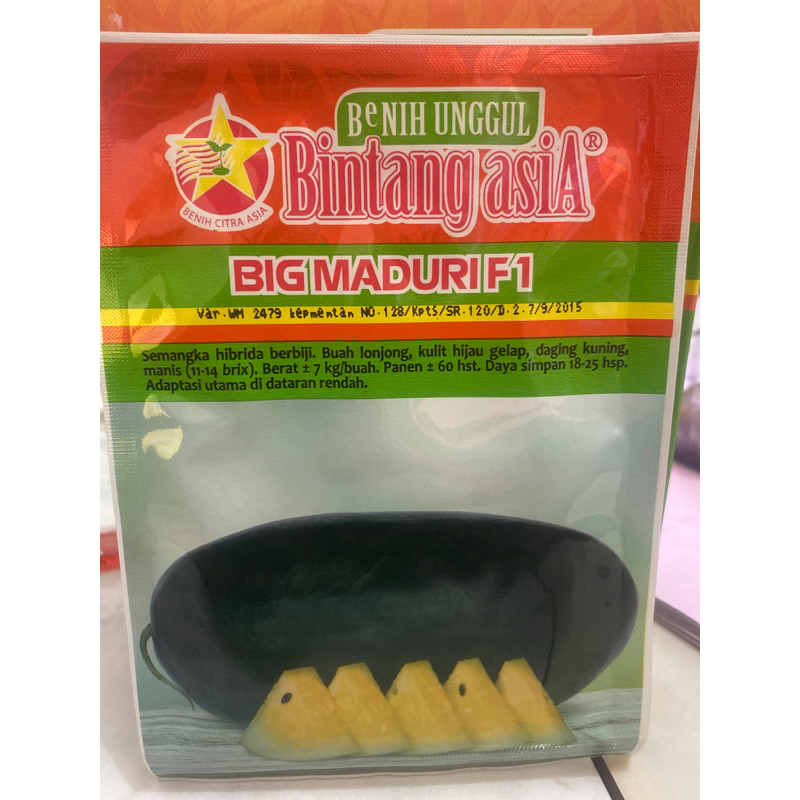 benih semangka Big Maduri