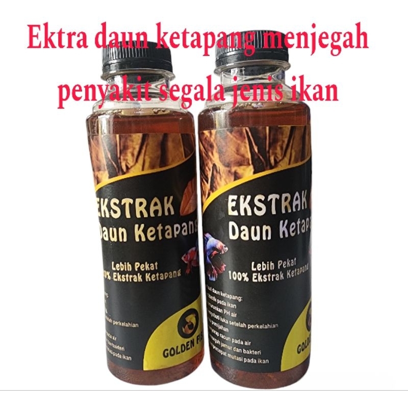 Ekstrak daun Ketapang