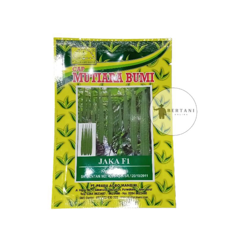 Benih Oyong Hibrida Jaka F1 Mutiara Bumi