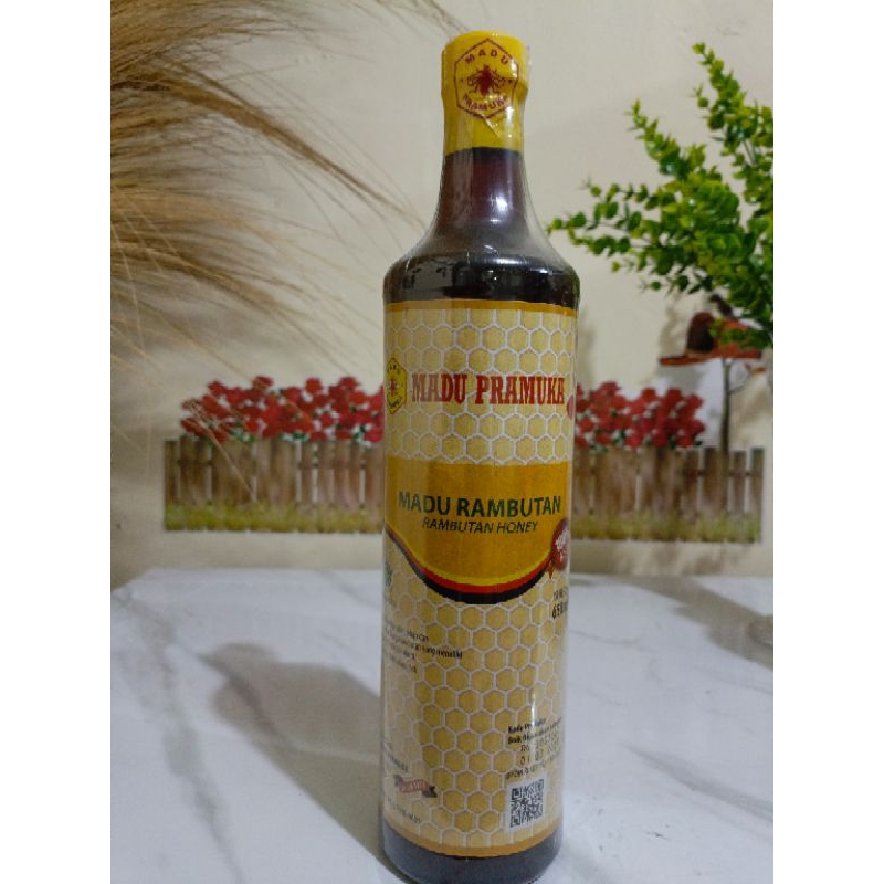 

Madu Pramuka Rambutan Madu Rambutan 659ml