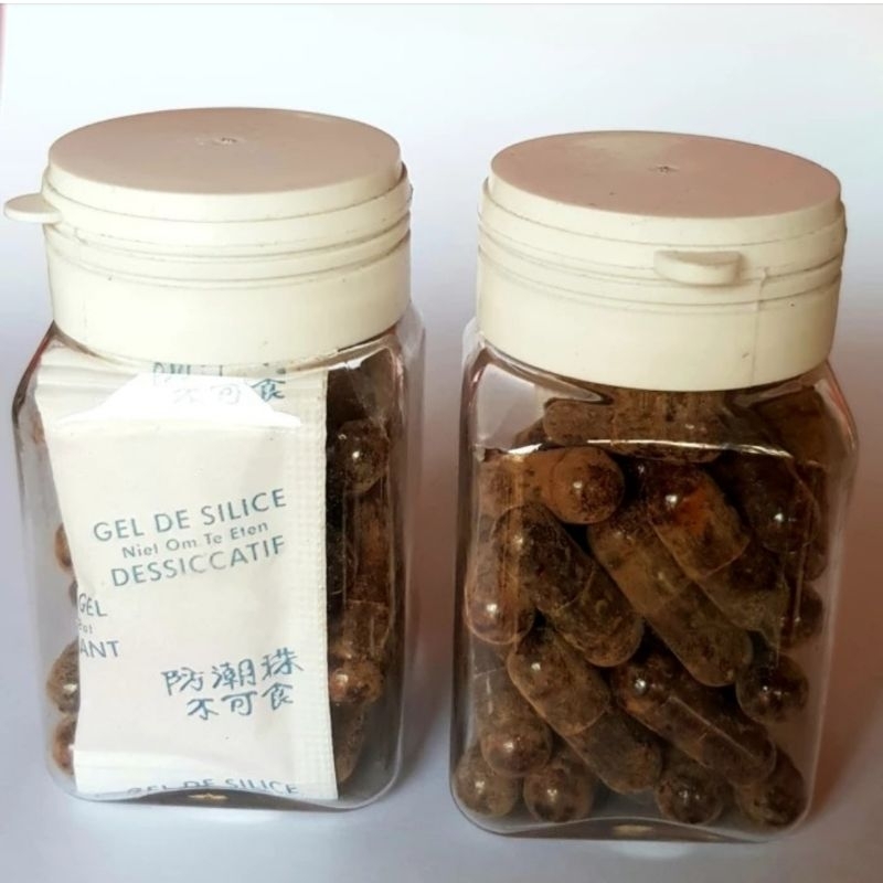 

BEE POLEN SERBUK SARI DARI LEBAH GEMBALA