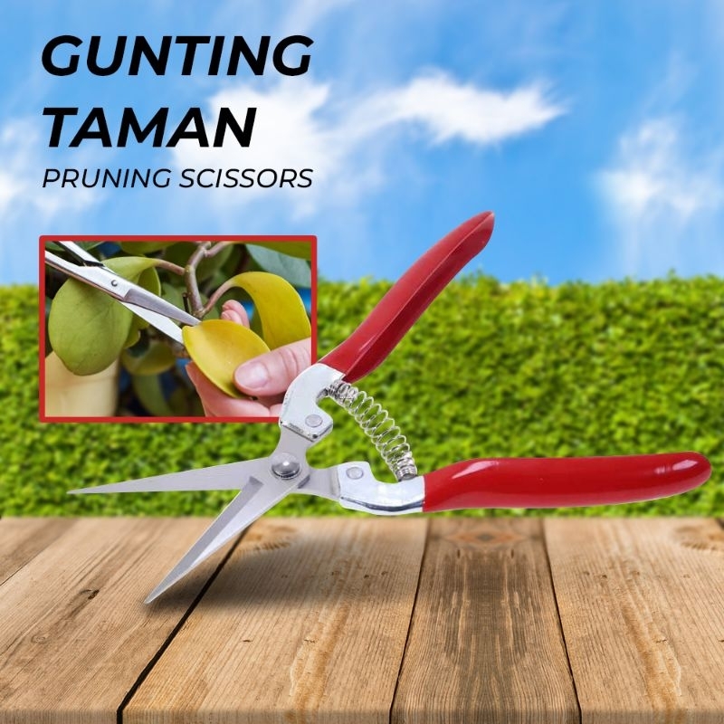 

gunting tanaman ranting bunga stainless steel pruning scrissors