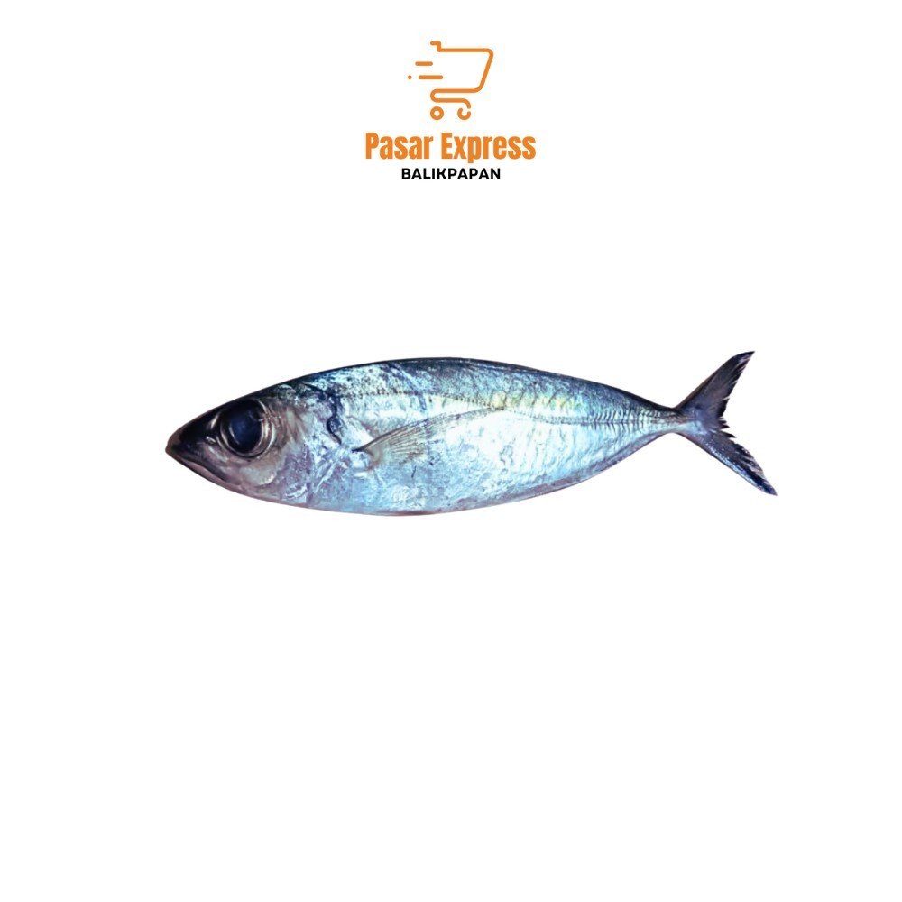 

Ikan Katombo / Ketombo / Ketombong (1kg) - Pasar Express Balikpapan