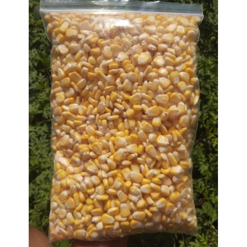 

Jagung pipil manis 1kg