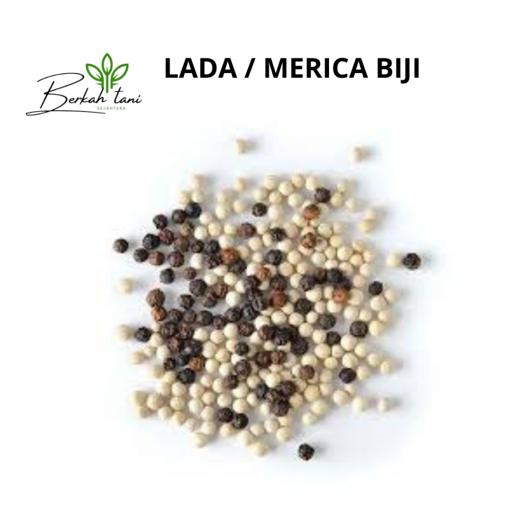 

LADA / MERICA BIJI REPACK 100 GRAM