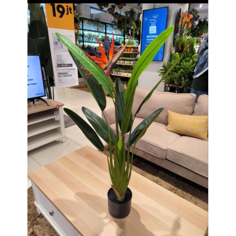 Tanaman hias informa/informa 100cm tanaman artifisial strelitzia/informa tanaman artifisial strelitz