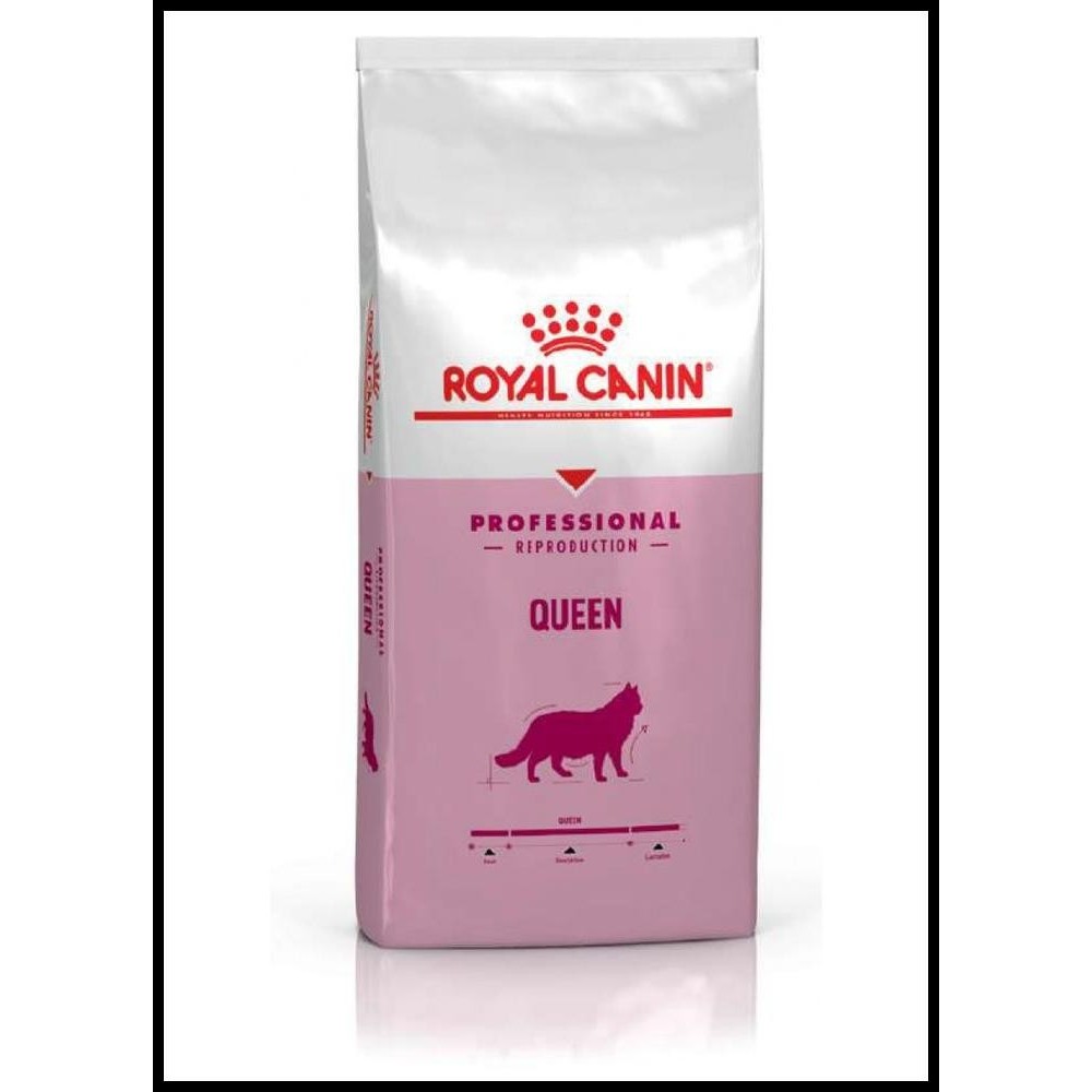 Royal Canin Pro Queen 4KG Professional Makanan Kucing Hamil Menyusui