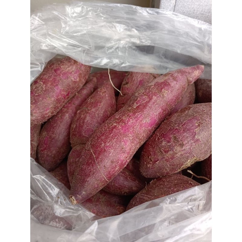 

Ubi Jalar Ungu Segar 1 Kg